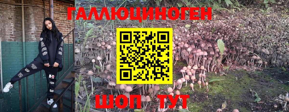 Галлюциногенные грибы MAGIC MUSHROOMS Аргун